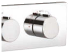 Thermostatic Diverter Set (T5150A1)