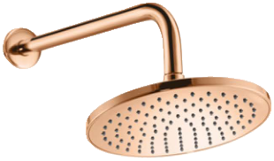 Single Flow Round Shower (T9907A4)