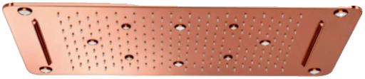 Ceiling Shower (T9651A4)